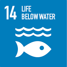 sdg14